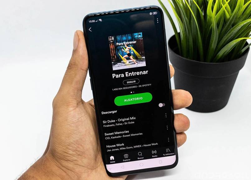 persona configuracion cuenta de spotify