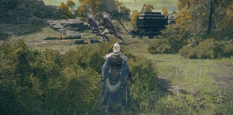 localiza el escarabeo de oro de elden ring y consigue mas runas