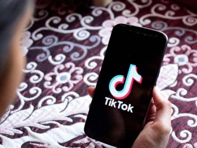 como personalizar contenido tiktok