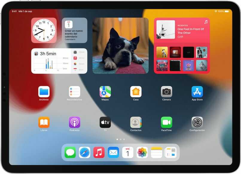 personaliza tu pantalla de inicio en tu ipad