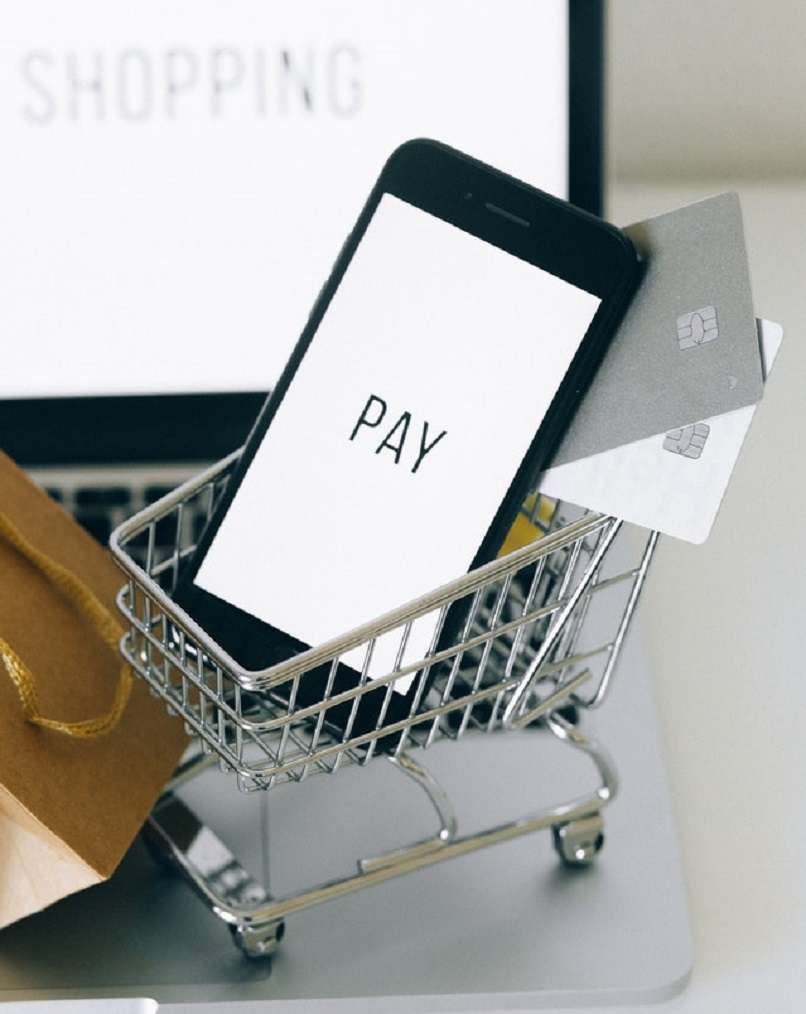 descripcion grafica compras bizum