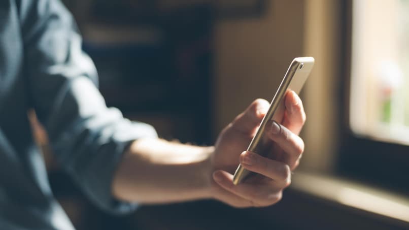 persona sosteniendo su telefono 