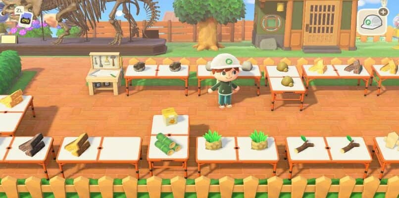 jugador realizando actividades