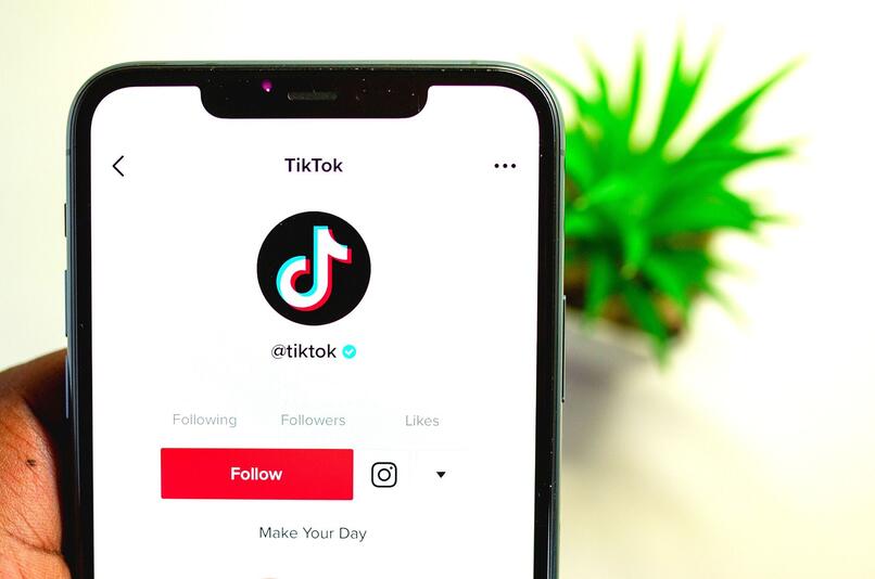 plataforma de tiktok