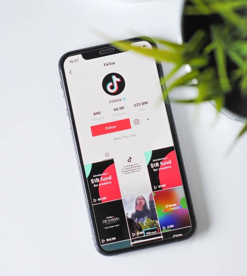 usar la cuenta tiktok en tu smartphone